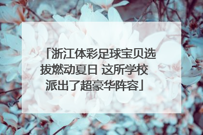 浙江体彩足球宝贝选拔燃动夏日 这所学校派出了超豪华阵容