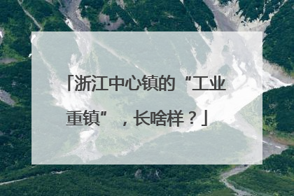 浙江中心镇的“工业重镇”，长啥样？