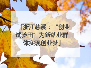 浙江慈溪：“创业试验田”为新就业群体实现创业梦