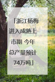 浙江杨梅进入成熟上市期 今年总产量预计74万吨