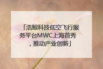 浩鲸科技低空飞行服务平台MWC上海首秀，推动产业创新