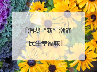 消费“新”潮涌 民生幸福味