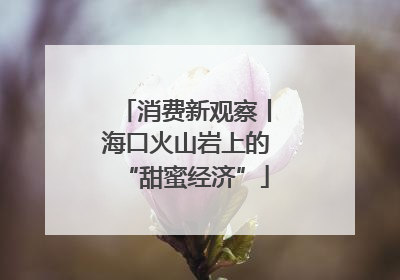 消费新观察丨海口火山岩上的“甜蜜经济”