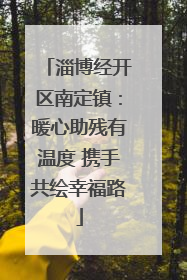 淄博经开区南定镇：暖心助残有温度 携手共绘幸福路