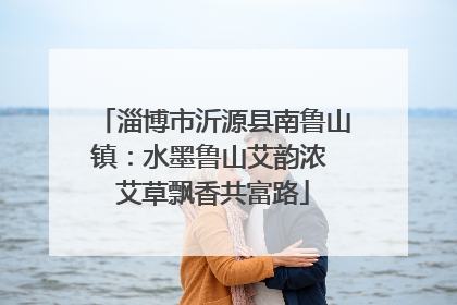 淄博市沂源县南鲁山镇：水墨鲁山艾韵浓 艾草飘香共富路