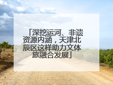 深挖运河、非遗资源内涵，天津北辰区这样助力文体旅融合发展