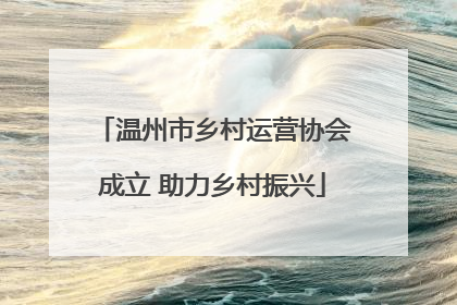 温州市乡村运营协会成立 助力乡村振兴