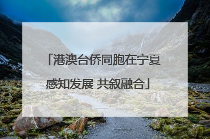 港澳台侨同胞在宁夏感知发展 共叙融合
