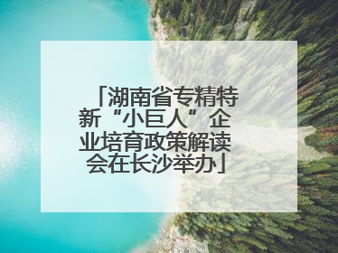 湖南省专精特新“小巨人”企业培育政策解读会在长沙举办