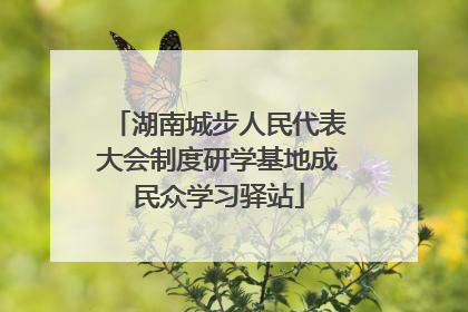 湖南城步人民代表大会制度研学基地成民众学习驿站