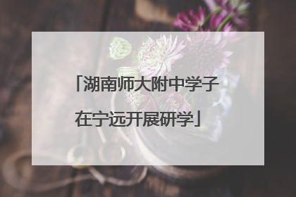 湖南师大附中学子在宁远开展研学