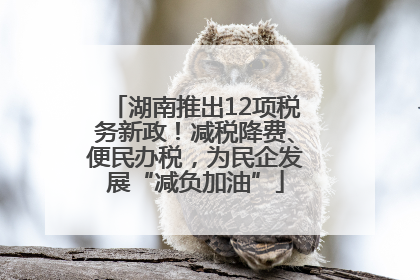 湖南推出12项税务新政!减税降费、便民办税,为民企发展“减负加油”