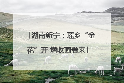 湖南新宁：瑶乡“金花”开 增收画卷来