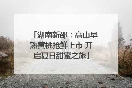 湖南新邵：高山早熟黄桃抢鲜上市 开启夏日甜蜜之旅
