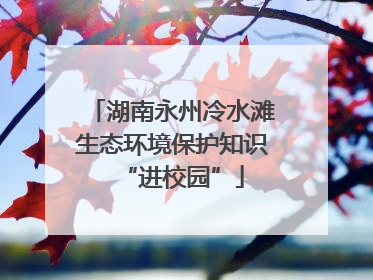 湖南永州冷水滩生态环境保护知识“进校园”
