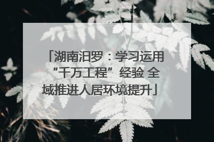 湖南汨罗：学习运用“千万工程”经验 全域推进人居环境提升