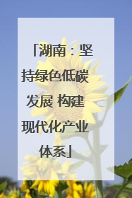 湖南：坚持绿色低碳发展 构建现代化产业体系