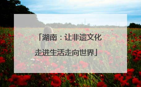 湖南：让非遗文化走进生活走向世界