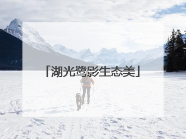湖光鹭影生态美