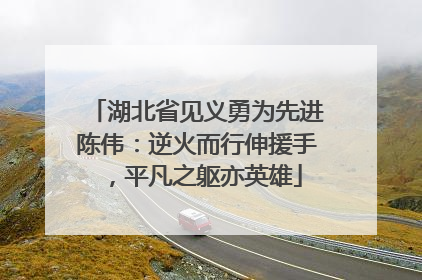 湖北省见义勇为先进陈伟：逆火而行伸援手，平凡之躯亦英雄
