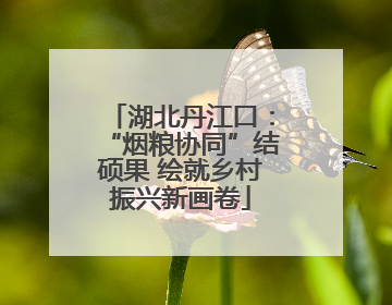 湖北丹江口：“烟粮协同”结硕果 绘就乡村振兴新画卷