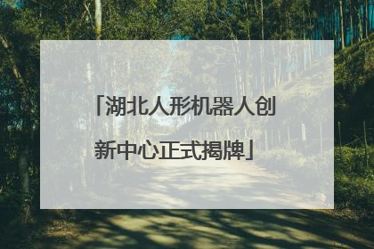 湖北人形机器人创新中心正式揭牌