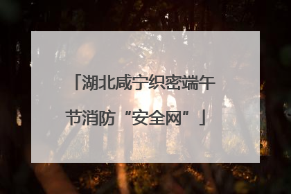湖北咸宁织密端午节消防“安全网”
