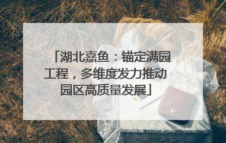 湖北嘉鱼：锚定满园工程，多维度发力推动园区高质量发展