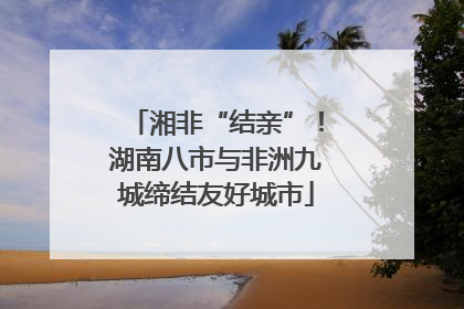 湘非“结亲”！湖南八市与非洲九城缔结友好城市