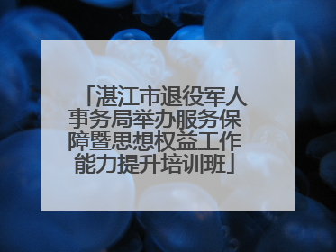 湛江市退役军人事务局举办服务保障暨思想权益工作能力提升培训班