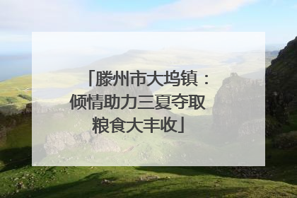 滕州市大坞镇：倾情助力三夏夺取粮食大丰收
