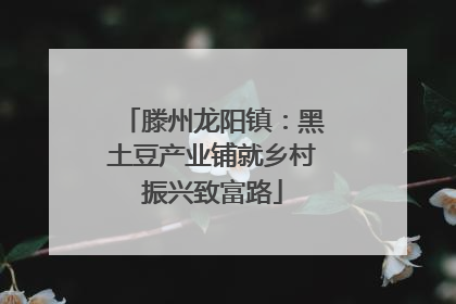 滕州龙阳镇：黑土豆产业铺就乡村振兴致富路