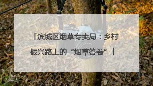 滨城区烟草专卖局：乡村振兴路上的“烟草答卷”