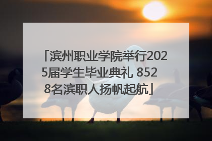 滨州职业学院举行2025届学生毕业典礼 8528名滨职人扬帆起航