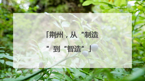 荆州，从“制造”到“智造”