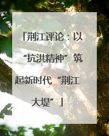 荆江评论：以“抗洪精神”筑起新时代“荆江大堤”