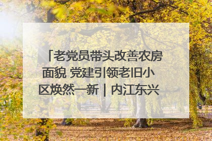 老党员带头改善农房面貌 党建引领老旧小区焕然一新｜内江东兴“红”在哪？④