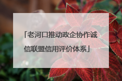 老河口推动政企协作诚信联盟信用评价体系