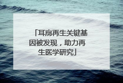 耳廓再生关键基因被发现，助力再生医学研究