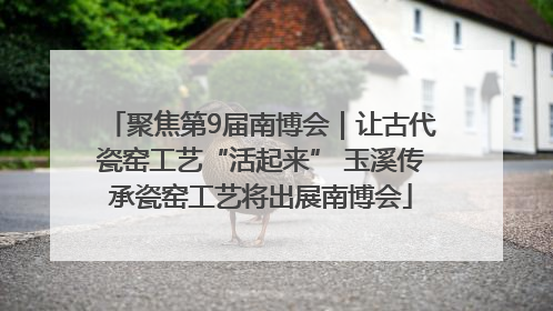 聚焦第9届南博会｜让古代瓷窑工艺“活起来” 玉溪传承瓷窑工艺将出展南博会