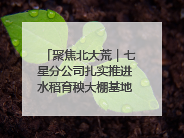 聚焦北大荒｜七星分公司扎实推进水稻育秧大棚基地清理整治工作