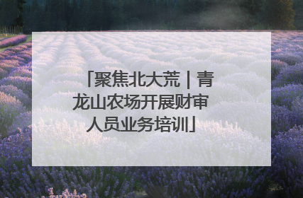 聚焦北大荒｜青龙山农场开展财审人员业务培训