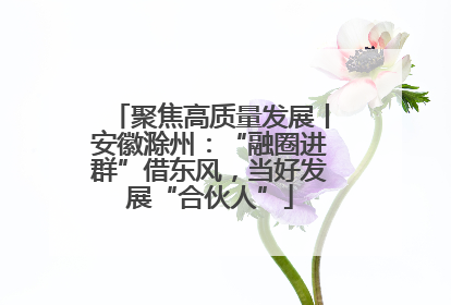 聚焦高质量发展丨安徽滁州：“融圈进群”借东风，当好发展“合伙人”