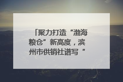 聚力打造“渤海粮仓”新高度，滨州市供销社谱写“三夏”丰收乐章