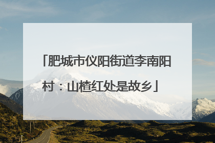 肥城市仪阳街道李南阳村：山楂红处是故乡