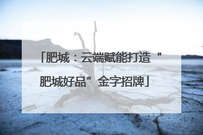 肥城：云端赋能打造“肥城好品”金字招牌