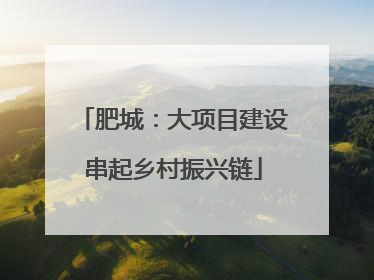 肥城：大项目建设串起乡村振兴链
