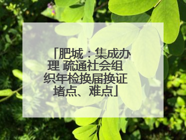 肥城：集成办理 疏通社会组织年检换届换证堵点、难点