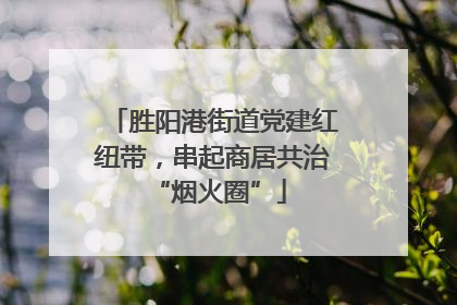 胜阳港街道党建红纽带，串起商居共治 “烟火圈”