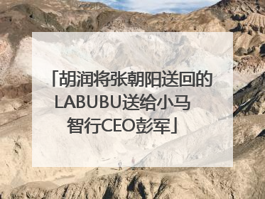 胡润将张朝阳送回的LABUBU送给小马智行CEO彭军